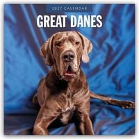 Produktbild: Great Danes &ndash; Deutsche Dogge 2027 &ndash; 16-Monatskalender