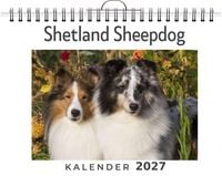 Produktbild: Shetland Sheepdog