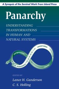 Produktbild: Panarchy Synopsis