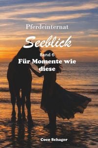 Produktbild: Pferdeinternat Seeblick Band 6