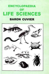 Produktbild: Encyclopaedia of Life Sciences (Class Insecta)