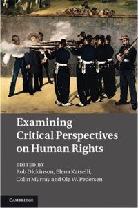 Produktbild: Examining Critical Perspectives on Human Rights