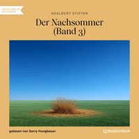 Produktbild: Der Nachsommer (Band 3)
