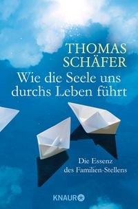 Produktbild: Wie die Seele uns durchs Leben f&uuml;hrt