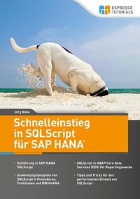 Bild vom Artikel Schnelleinstieg in SQLScript für SAP HANA vom Autor Jörg Böke