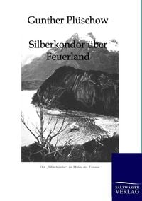 Produktbild: Silberkondor &uuml;ber Feuerland