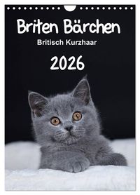 Produktbild: Briten B&auml;rchen &ndash; Britisch Kurzhaar 2026 (Wandkalender 2026 DIN A4 hoch), CALVENDO Monatskalender