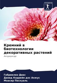 Produktbild: Kremnij w biotehnologii dekoratiwnyh rastenij