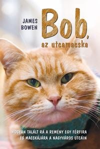 Produktbild: Bob, az utcamacska