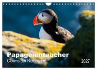 Produktbild: PAPAGEIENTAUCHER - Clowns der Nordmeere (Wandkalender 2027 DIN A4 quer), CALVENDO Monatskalender