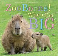 Produktbild: ZooBorns! When I'm Big