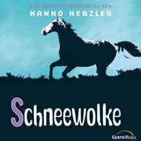 Produktbild: 03: Schneewolke