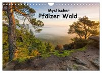 Produktbild: Mystischer Pf&auml;lzer Wald (Wandkalender 2027 DIN A4 quer), CALVENDO Monatskalender
