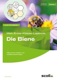 Produktbild: Mein Erste-Klasse-Lapbook: Die Biene
