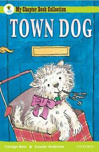 Produktbild: Bear, C: Oxford Reading Tree: All Stars: Pack 2A: Town Dog