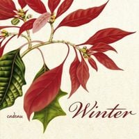 Produktbild: Winter