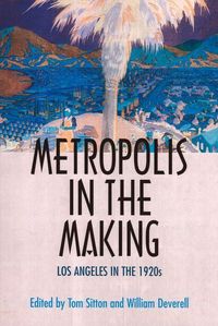 Produktbild: Metropolis in the Making