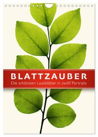 Produktbild: Blattzauber (Wandkalender 2026 DIN A4 hoch), CALVENDO Monatskalender