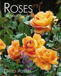 Produktbild: The Rose