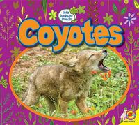 Produktbild: Coyotes