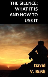 Produktbild: The Silence; What It Is And How To Use It