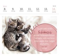 Postkartenkalender Katzenweisheiten 2023