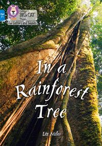 Produktbild: Big Cat L&s Ks2_rainforest