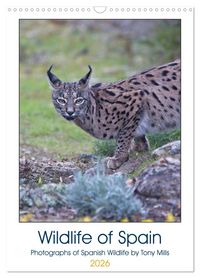 Produktbild: Wildlife of Spain (Wall Calendar 2026 DIN A3 portrait), CALVENDO 12 Month Wall Calendar
