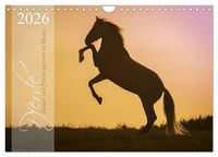 Produktbild: Pferde - Anmut und St&auml;rke gepaart mit Magie (Wandkalender 2026 DIN A4 quer), CALVENDO Monatskalender