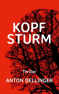 Produktbild: Kopfsturm