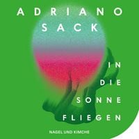 Produktbild In die Sonne fliegen