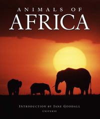 Produktbild: Allen, T: Animals of Africa