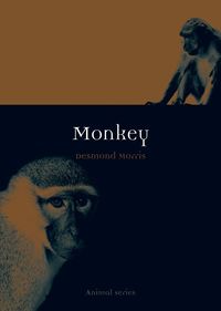 Produktbild: Monkey