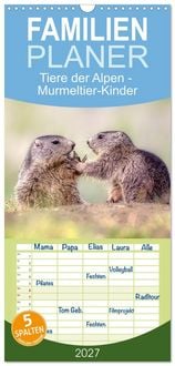 Produktbild: Familienplaner 2027 - Tiere der Alpen - Murmeltier-Kinder mit 5 Spalten (Wandkalender, 21 x 45 cm) CALVENDO