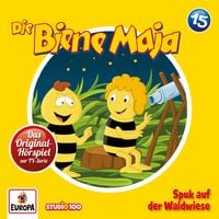 Produktbild: Folge 15: Spuk auf der Waldwiese