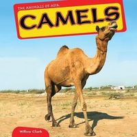 Produktbild: Camels