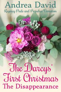 Produktbild: The Darcys' First Christmas: The Disappearance (My Sweet Darcy)