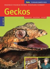 Bild vom Artikel Geckos vom Autor Friedrich Wilhelm Henkel
