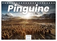 Produktbild: Pinguine - Die sympathischen Frack-Tr&auml;ger (Tischkalender 2026 DIN A5 quer), CALVENDO Monatskalender