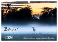 Produktbild: Rotwild - im Naturparadies der Mecklenburgischen Seenplatte (Wandkalender 2026 DIN A3 quer), CALVENDO Monatskalender