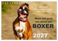 Produktbild: Wenn ich gro&szlig; bin werd' ich Boxer (Tischkalender 2027 DIN A5 quer), CALVENDO Monatskalender