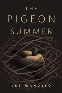 Produktbild: The Pigeon Summer