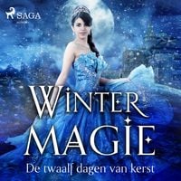 Produktbild: Wintermagie