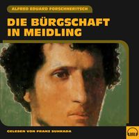 Produktbild: Die B&uuml;rgschaft in Meidling