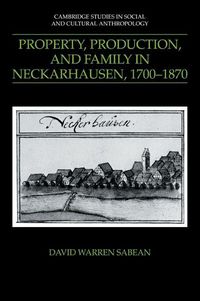 Produktbild: Property, Production, and Family in Neckarhausen, 1700 1870