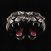 Produktbild: Dead Company