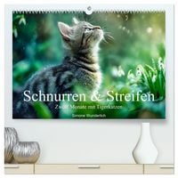 Produktbild: Schnurren & Streifen - Zw&ouml;lf Monate mit Tigerkatzen (hochwertiger Premium Wandkalender 2027 DIN A2 quer), Kunstdruck in Hochglanz