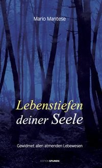 Produktbild: Lebenstiefen deiner Seele