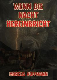 Produktbild: Wenn die Nacht hereinbricht