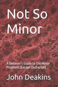 Produktbild: Not So Minor